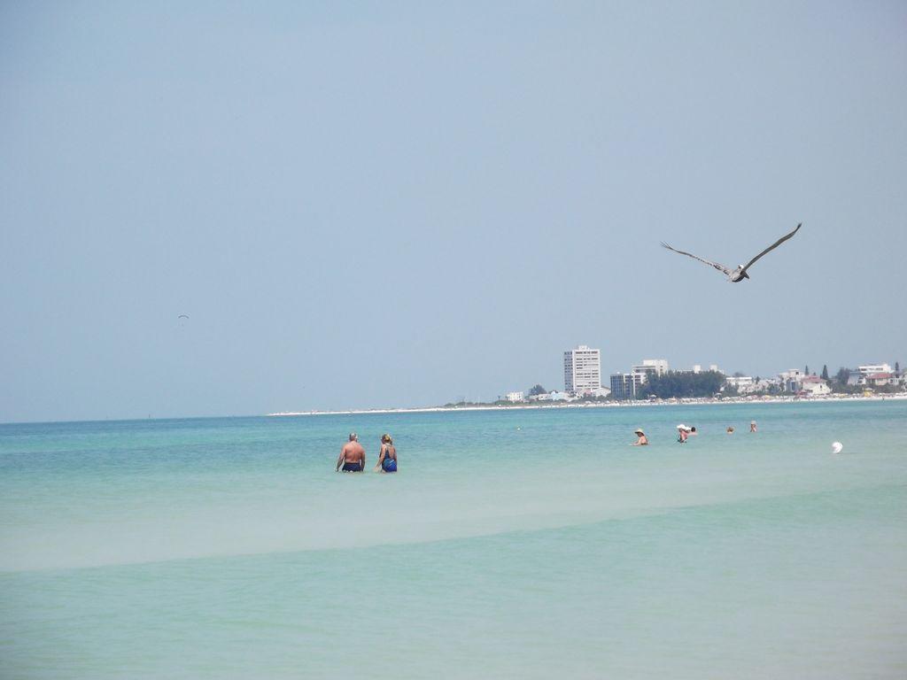 2Br/1Ba Vacation Rental - Sienna Park ساراسوتا المظهر الخارجي الصورة